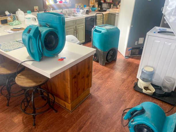 Best Sewage cleanup and water damage restoration  in Wahese, NC
