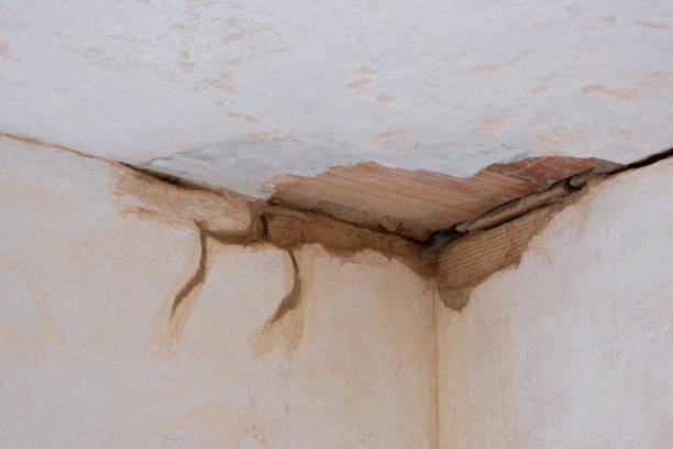 Best Water damage restoration near me  in Wahese, NC