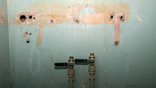 Best Flooded house restoration  in Wahese, NC
